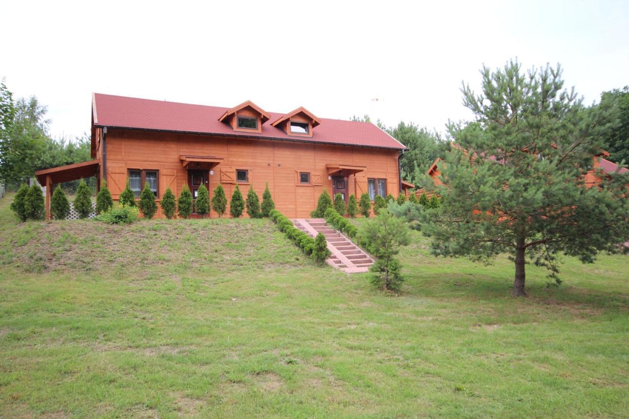 Domki Debina Vila Debina  Exterior foto